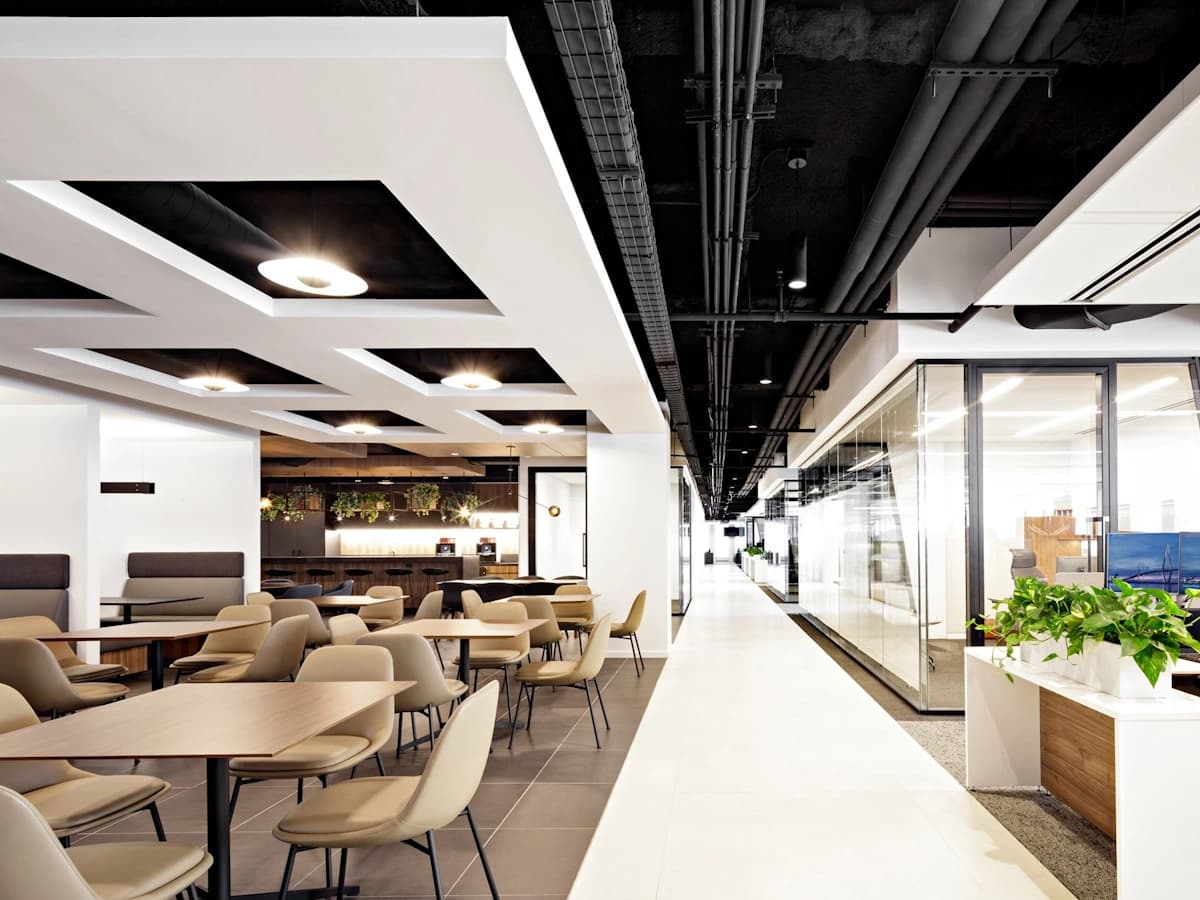 Exposed-services ceiling in a Cape Town office fit-out